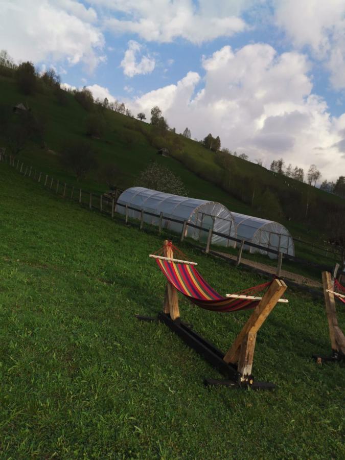 Cabanute Luca Ama Bran Villa Brasov Exterior photo