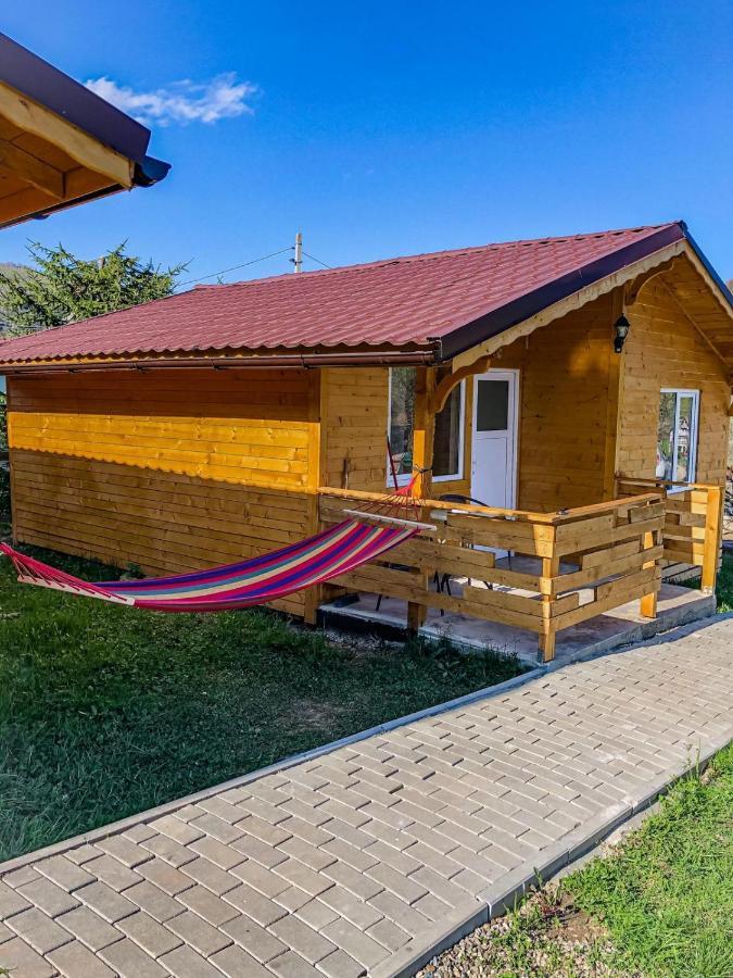 Cabanute Luca Ama Bran Villa Brasov Exterior photo